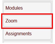 Zoom buttong on the left navigation with Zoom highlighted
