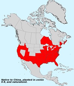 peach tree distribution in america.jpg